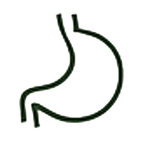 Gut Health & Bloating