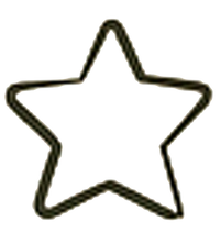 Daily Wellness Essentials