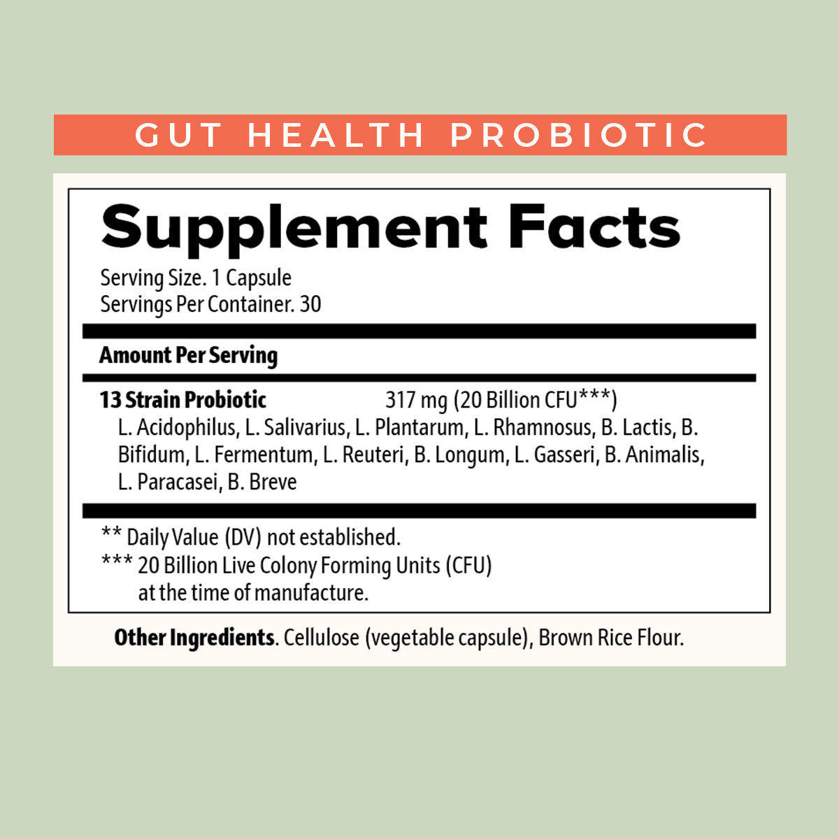 Gut Health – Probiotic Gut Balance